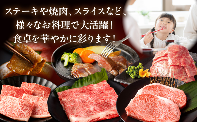 【全12回定期便】宮崎牛プレミアムセレクション 肩ロース ロースステーキ 焼肉