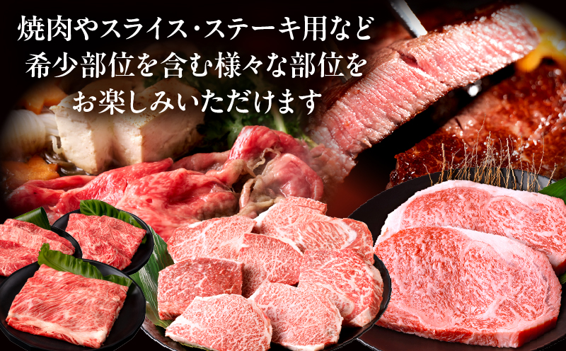 【全12回定期便】宮崎牛グランドセレクション 肩ロース ペッパーハンバーグ 焼肉