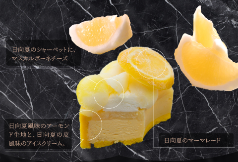 《先行予約》2023年10月発送【江森宏之シェフ作】宮崎市産日向夏のアイスケーキ 期間・数量限定