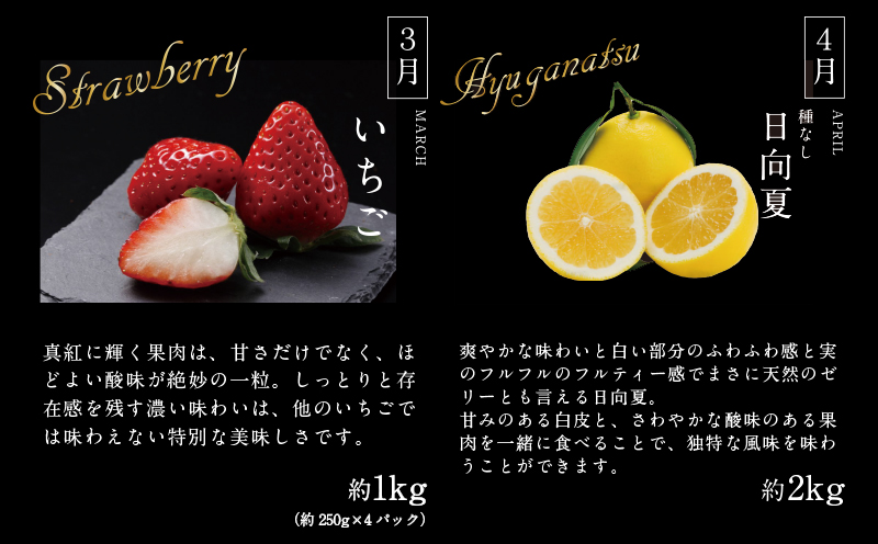 《2026年発送先行予約》【数量・期間限定】贈答用にもオススメ!バイヤー厳選!「厳選フルーツ定期便」(全6回) 果物 フルーツ 定期便