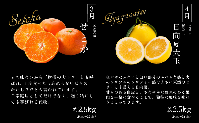 《2026年発送先行予約》【数量・期間限定】贈答用にもオススメ!バイヤー厳選!「至極フルーツ定期便」(全6回) 果物 フルーツ 定期便