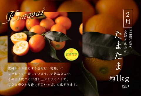 《2026年発送先行予約》【数量・期間限定】青果店厳選！「3ヶ月お届け！くだもの定期便Vol.1」 青果物 果物 フルーツ