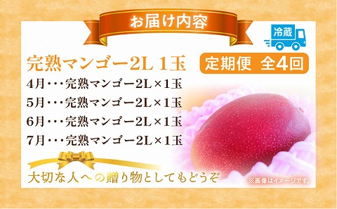 《2026年発送先行予約》【数量・期間限定】完熟マンゴー2L×1玉定期便　全4回 マンゴー 果物 定期便