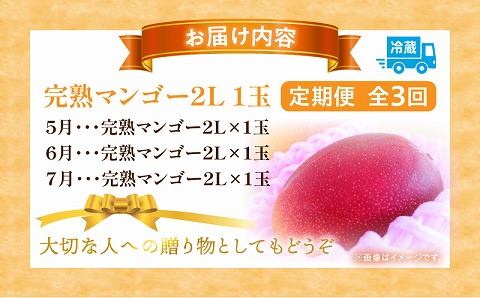 《2026年発送先行予約》【数量・期間限定】完熟マンゴー2L1玉定期便　全3回 マンゴー 果物 フルーツ