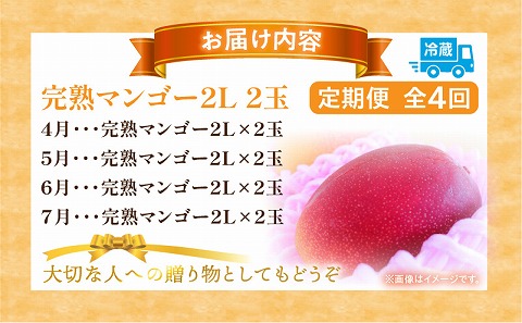 《2026年発送先行予約》【数量・期間限定】完熟マンゴー2L×2玉定期便　全4回 マンゴー フルーツ 果物 定期便
