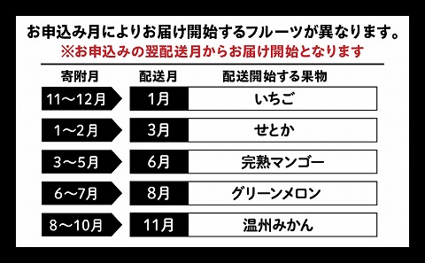 「人気くだもの定期便」全5回