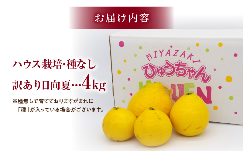 《2026年発送先行予約》【数量・期間限定】【訳あり】ハウス種無し日向夏 家庭用(大～小混4kg) 日向夏 訳あり 種無し