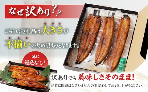 【訳あり】高須水産　備長炭手焼き蒲焼3尾(620ｇ)