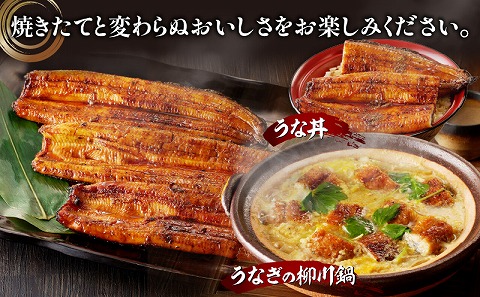 【宮崎県産】特大うなぎ備長炭手焼き蒲焼2尾(400g)