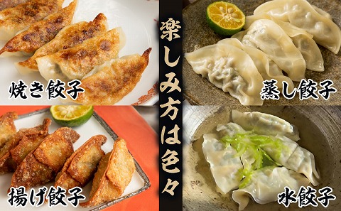 【定期便 全2回】金豚餃子セット（香港餃子・しそ餃子・にら餃子　1パック10個入×各2パック）