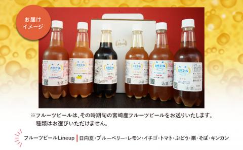 青空エールこだわりのクラフトビール飲み比べ詰め合わせセット〈フルーツビール入り〉6種6本（500mlペットボトル×6本）|フルーツ ビール