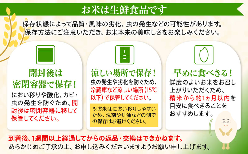 《令和7年産》宮崎県産コシヒカリ 合計5kg(5kg×1袋) お米 精米 新米