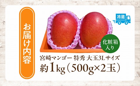 【2026年発送先行予約】《数量・期間限定》完熟！宮崎マンゴー 特秀 大玉3Lサイズ 2玉化粧箱入り マンゴー 宮崎 完熟マンゴー