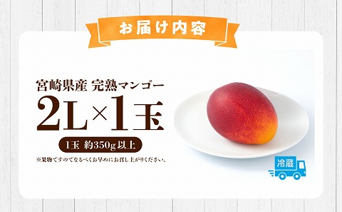 《2026年発送先行予約》【数量・期間限定】宮崎県産完熟マンゴー 2Lサイズ 1玉 果実 完熟 フルーツ