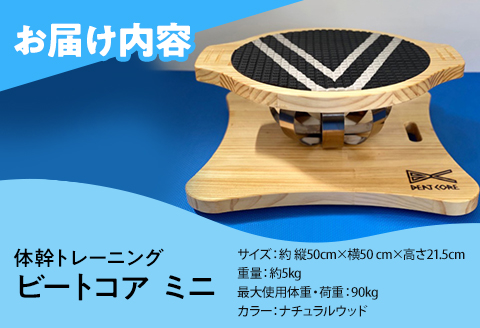 体幹トレーニング ビートコア ミニ
