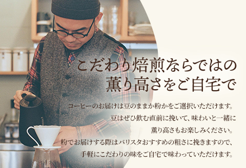 《豆のまま》バリスタおすすめのコーヒー 250g×2種類 計500g