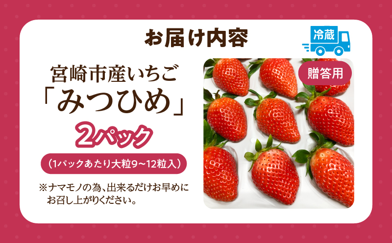 《2026年発送》【数量・期間限定】【贈答用】宮崎市産いちご みつひめ 2パック いちご 苺 イチゴ 果物 フルーツ プレゼント ギフト