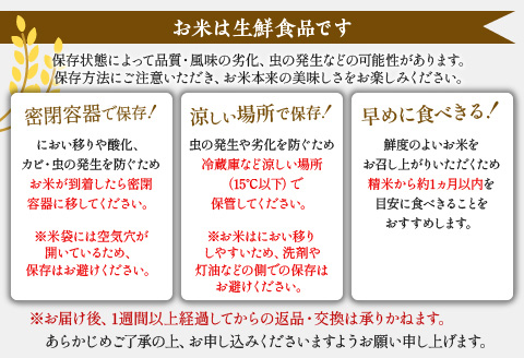 期間・数量限定 令和5年産 宮崎県産米 夏の笑み 5kg×2 合計10kg