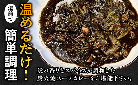 炭香る宮崎県産若鶏炭火焼スープカレー 計1.9kg