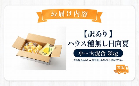 《2026年発送先行予約》【数量・期間限定】【訳あり】ハウス種無し日向夏　小～大混合3kg 日向夏 種無し ハウス栽培