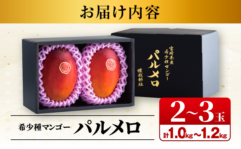 《2026年発送先行予約》【期間・数量限定】宮崎県産 希少種マンゴー パルメロ 計 約1.0kg～1.2kg 2～3玉入り 完熟マンゴー パルメロ 果物