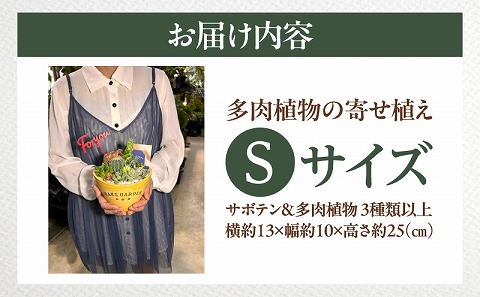 多肉植物の寄せ植え　Sサイズ