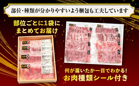 宮崎牛焼肉食べ比べ4種～8種盛り 合計800g 焼肉 最高級 ブランド