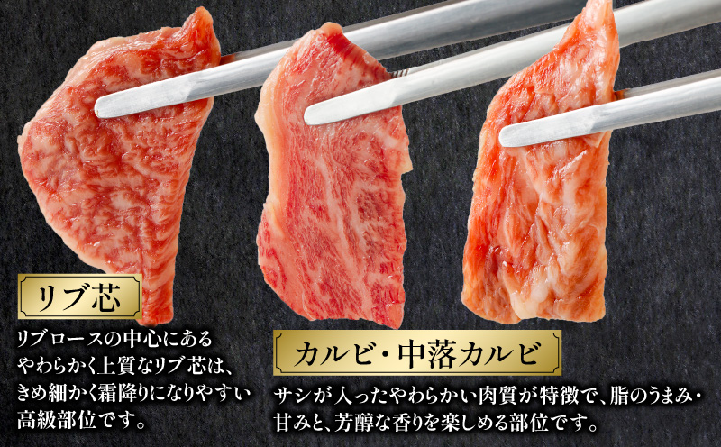 宮崎牛 焼肉食べ比べ6種盛 600g 焼き肉 バーベキュー 霜降り