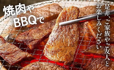 宮崎牛 極み上焼肉セット ヒレ サーロイン ミスジ