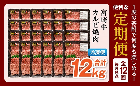 【定期便全12回】宮崎牛 カルビ焼肉 合計1kg 霜降り ブランド カルビ 焼肉 焼き肉 BBQ