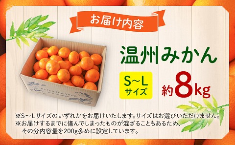 《2025年発送先行予約》【期間・数量限定】温州みかん8kg(傷み補償分200g付き) 果物 ミカン 柑橘