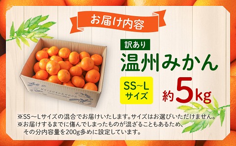 《2025年発送先行予約》【期間・数量限定】《訳あり》温州みかん5kg(傷み補償分200g付き) ミカン 果物 柑橘