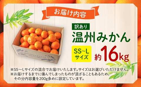 《2025年発送先行予約》【期間・数量限定】《訳あり》温州みかん16kg(傷み補償分200g付き) ミカン 果物 柑橘