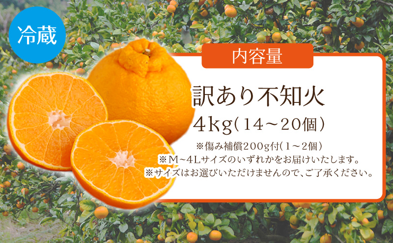 《2026年発送》【数量・期間限定】訳あり不知火4kg みかん 果物 柑橘