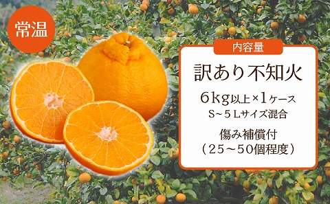 訳あり不知火6kg