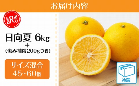 【訳あり】日向夏 6kg＋傷み補償(200g)つき サイズ混合