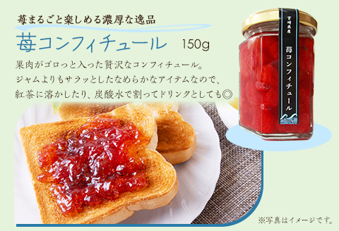 【農福連携】宮崎県産 波乗り苺のギフトセット 3種