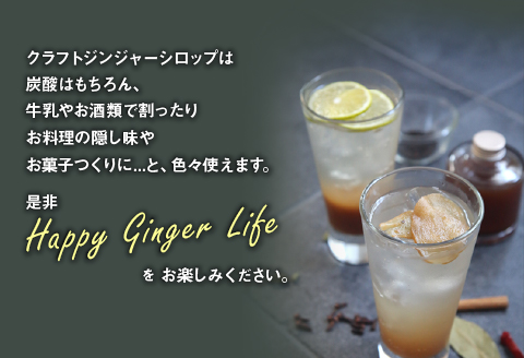 宮崎産ブランド生姜のみを使用 『HOLIC MAKERS』 クラフトジンジャーシロップ 300ml×2本