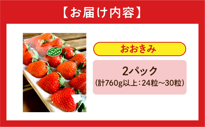 《2026年発送》【数量・期間限定】宮崎県産いちご「おおきみ」2パック(計760g以上：24粒～30粒) いちご 果物 フルーツ パック