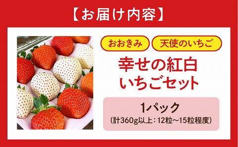 《2026年発送先行予約》【数量・期間限定】宮崎県産 幸せの紅白いちごセット(おおきみ&天使のいちご)1パック イチゴ 果物 フルーツ