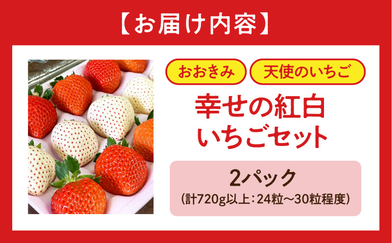 《2026年発送》【数量・期間限定】宮崎県産 幸せの紅白いちごセット(おおきみ&天使のいちご)2パック イチゴ 苺 果物 期間・数量限定