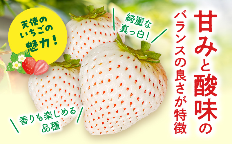 《2026年発送》【数量・期間限定】宮崎県産 幸せの紅白いちごセット(おおきみ&天使のいちご)5パック いちご 苺 果物 大粒