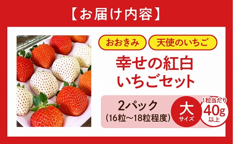 《2026年発送先行予約》【数量・期間限定】宮崎県産 幸せの紅白いちごセット(おおきみ&天使のいちご)大サイズ2パック いちご 果物 フルーツ