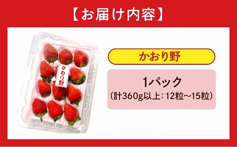 《2026年発送先行予約》【数量・期間限定】宮崎県産いちご「かおり野」1パック(計360g以上：12粒～15粒) 甘味 酸味 抜群