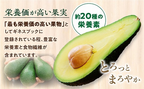 【2023年10月下旬～2024年1月下旬発送】横山果樹園の国産アボカド１kg（１玉２００g以上～）