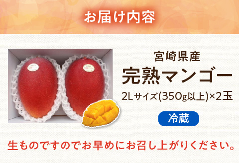 《2024年発送》樹上完熟マンゴー2L×2玉