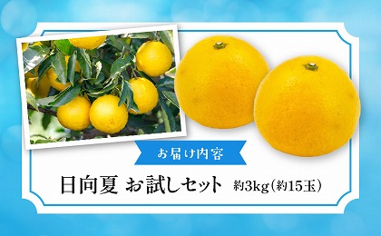 日向夏　お試しセット3kg