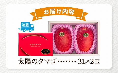 《2026年発送先行予約》【数量・期間限定】宮崎特産品 宮崎県産完熟マンゴー 太陽のタマゴ 3L×2玉 マンゴー 完熟 フルーツ 宮崎マンゴー 果物
