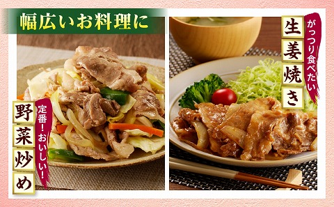 宮崎県産豚肉 切り落とし4.5kg スライス 小分け 国産