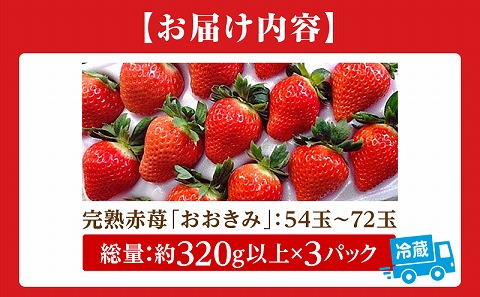 《2026年発送》【数量・期間限定】宮崎完熟紅苺「おおきみ」ファミリーパック 苺 いちご イチゴ おおきみ 完熟いちご 果物 フルーツ デザート ストロベリー 贈答 贈り物 ギフト 化粧箱 化粧箱入り 箱入り ファミリーパック